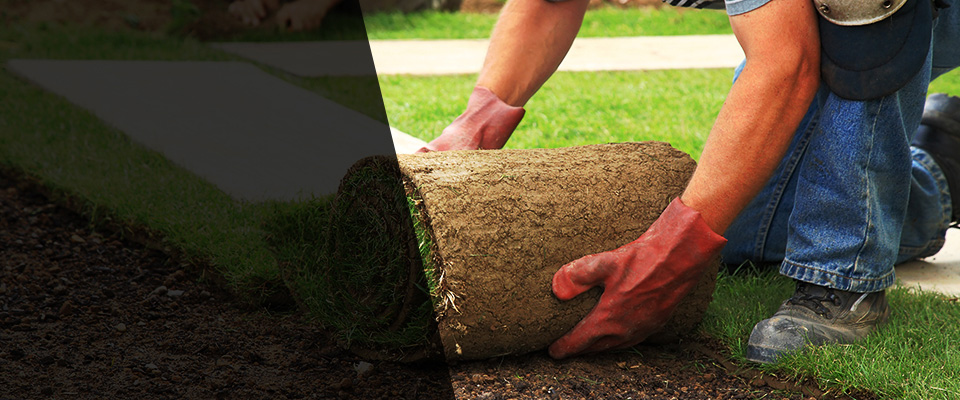 Townsend Landscapers